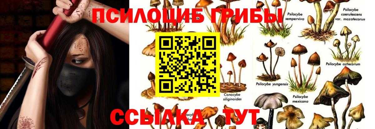 купить наркоту  Вход с VPN  Сорочинск  Псилоцибиновые грибы мухоморы 